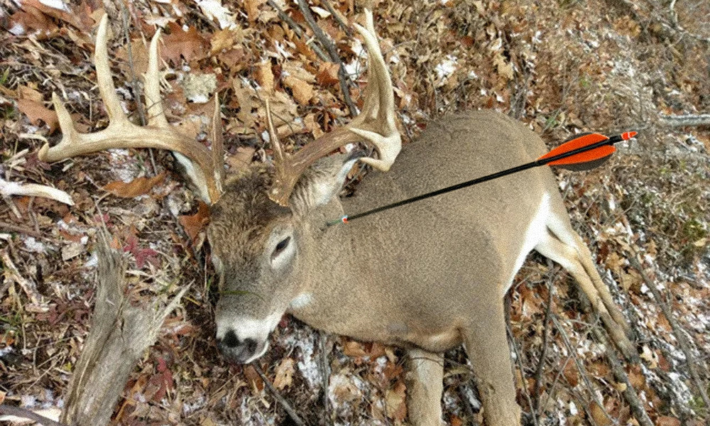 Opening Day of Archery Season: A September Hunt to Remember