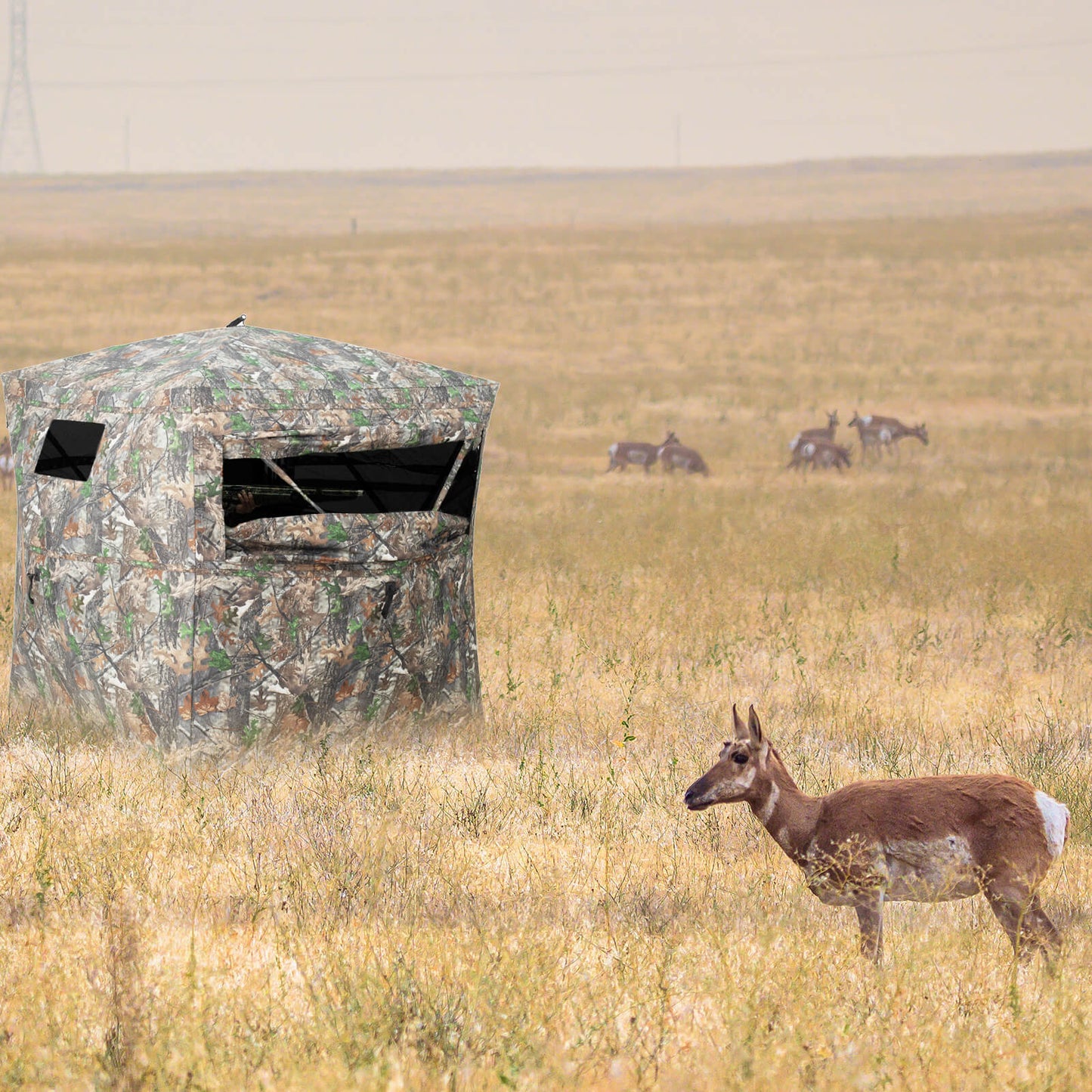 See Through Hunting Blind Pop-Up Ground Deer Blind 3-4 Person