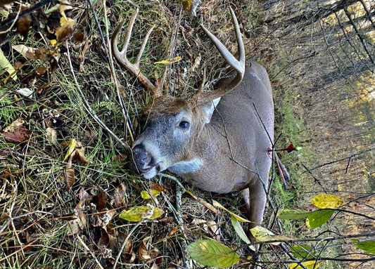 Real Stories of Using Trail Cameras