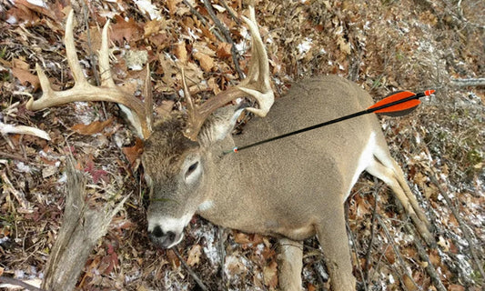 Opening Day of Archery Season: A September Hunt to Remember