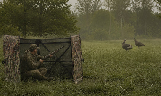 Turkey hunter seated behind a camouflage panel blind while two wild turkeys cross a grassy field