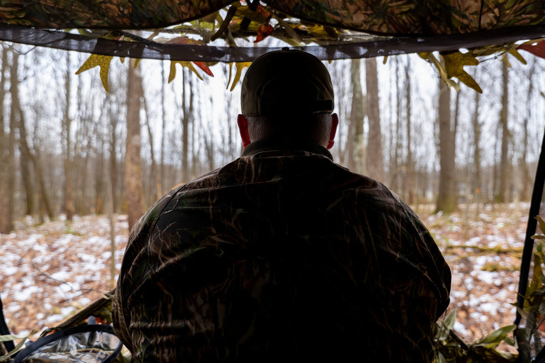 When the Woods Go Silent