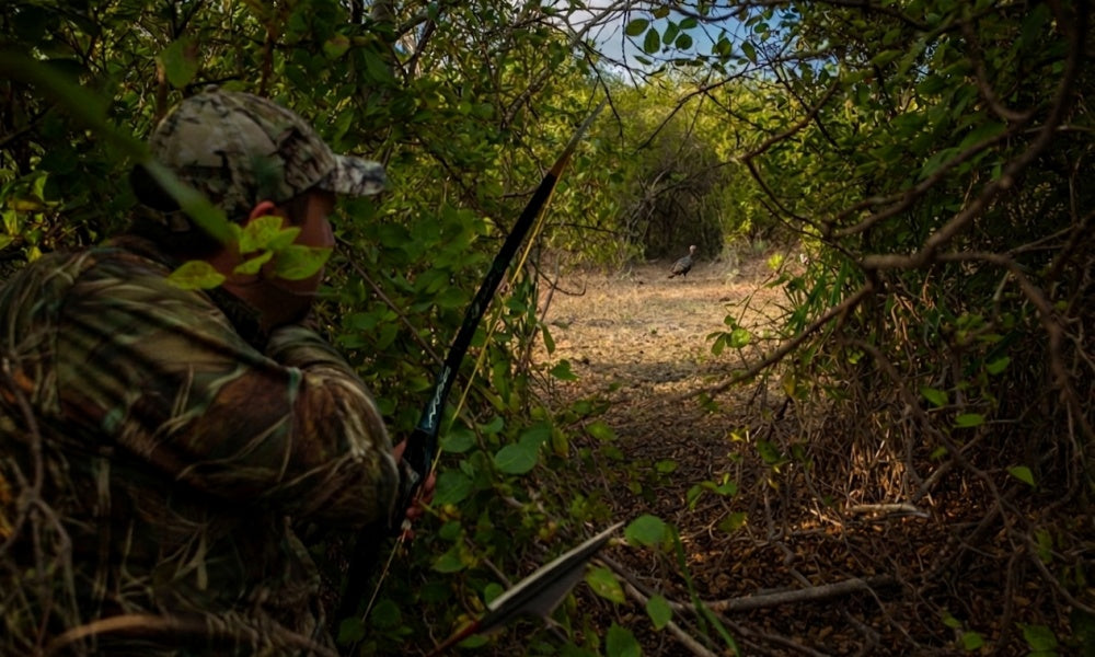 The Turkey That Wouldn’t Commit — A Mid-Season Lesson in Patience