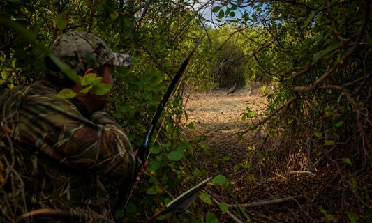 The Turkey That Wouldn’t Commit — A Mid-Season Lesson in Patience