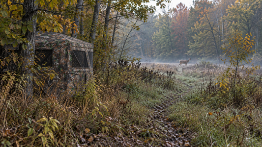 Huntsen ground blind beside an early fall deer trail at the forest edge